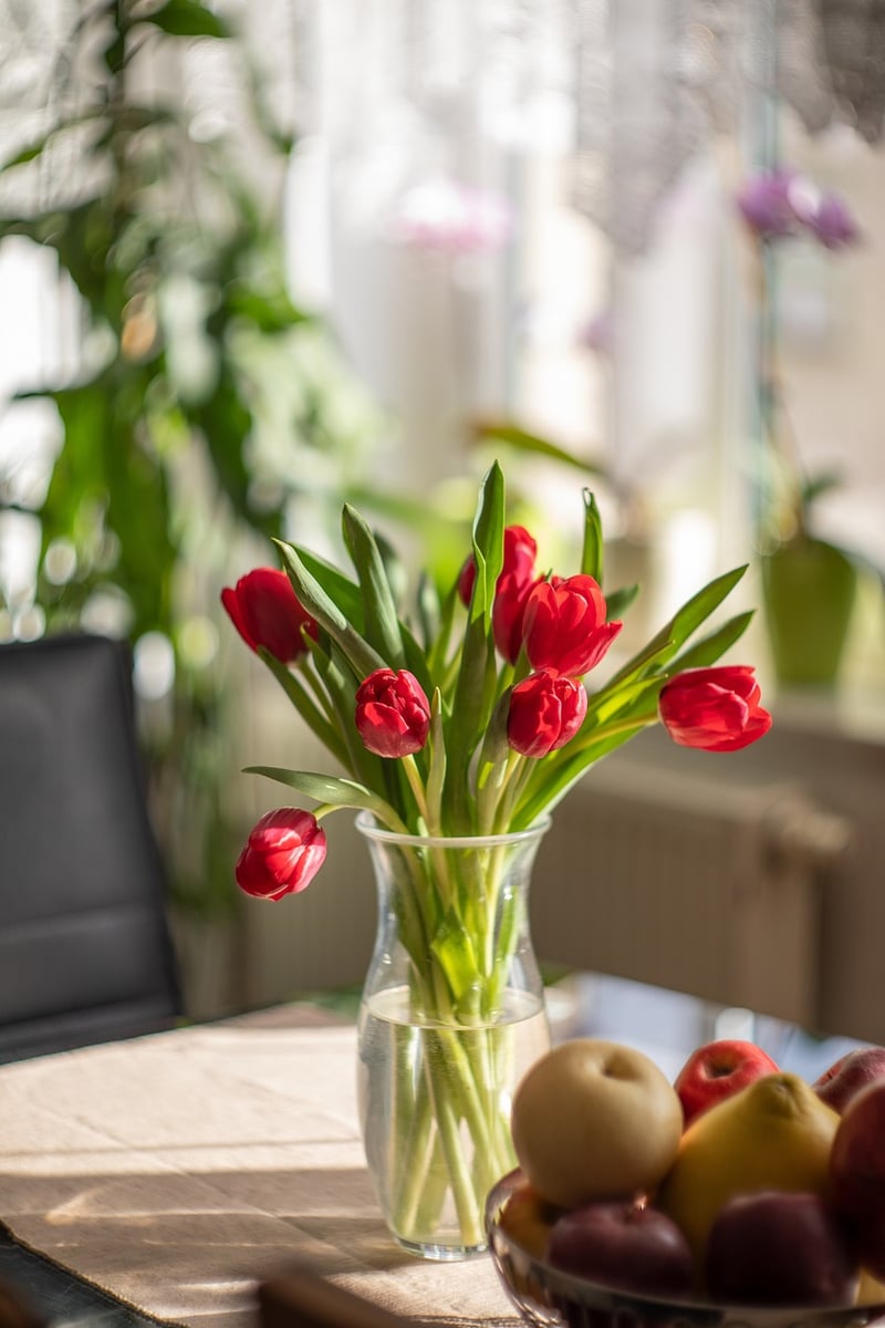 Bohemian Home Decor