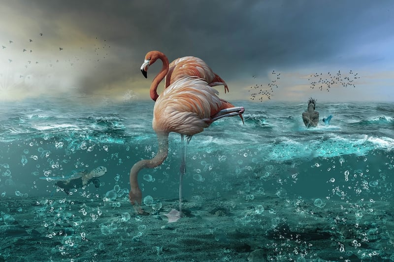 Mermaid Image